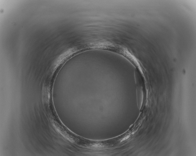 X0000087410059200704271722