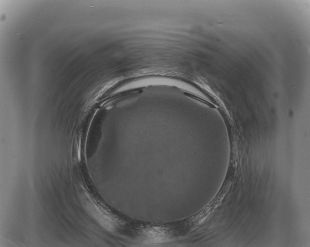 X0000087410062200704271722