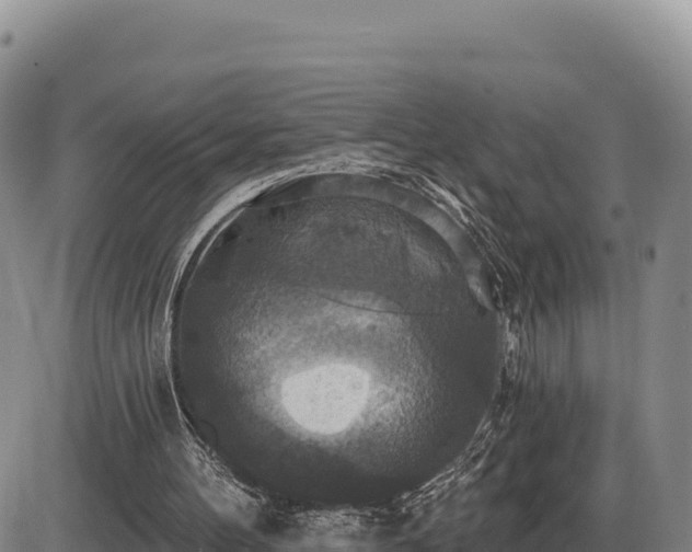 X0000087410100200704271722