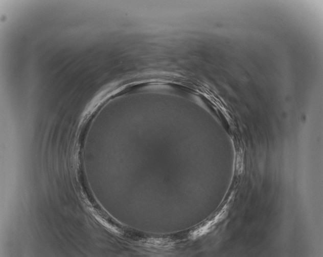 X0000087410101200704271722