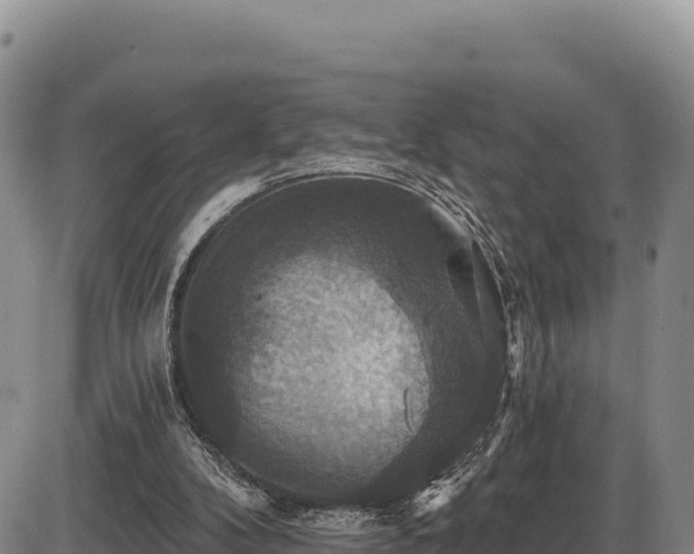X0000087410104200704271722