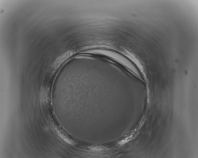 X0000087410105200704271722