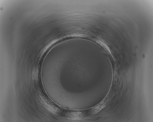 X0000087410108200704271722