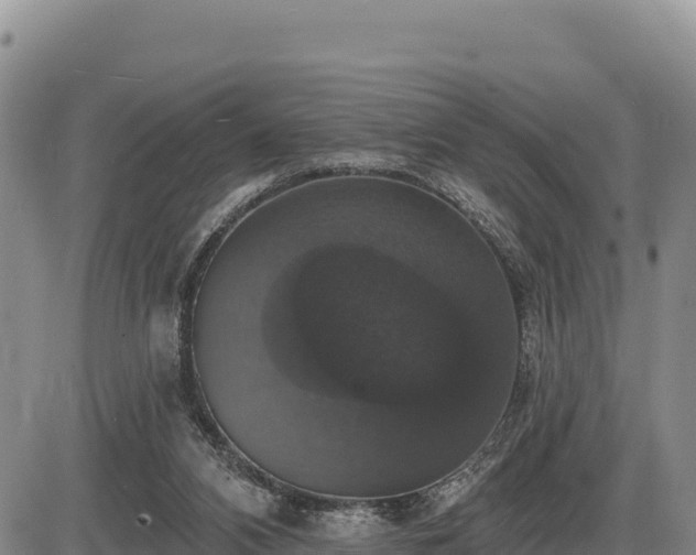 X0000087410112200704271722