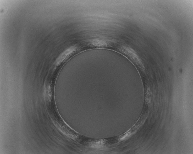 X0000087410116200704271722