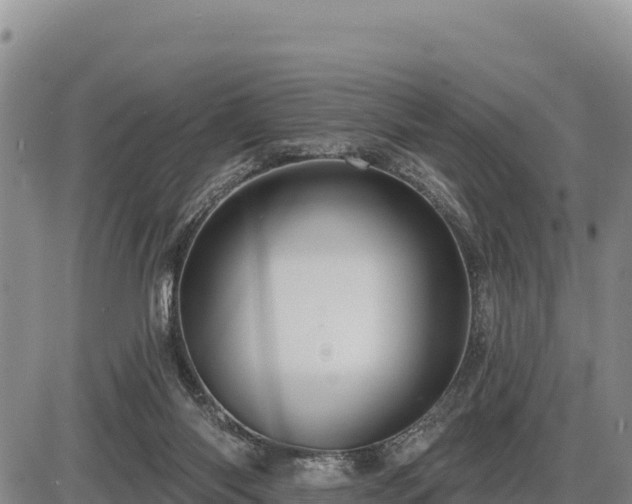 X0000087410118200704271722