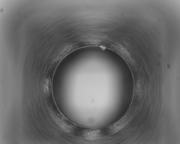 X0000087410122200704271722