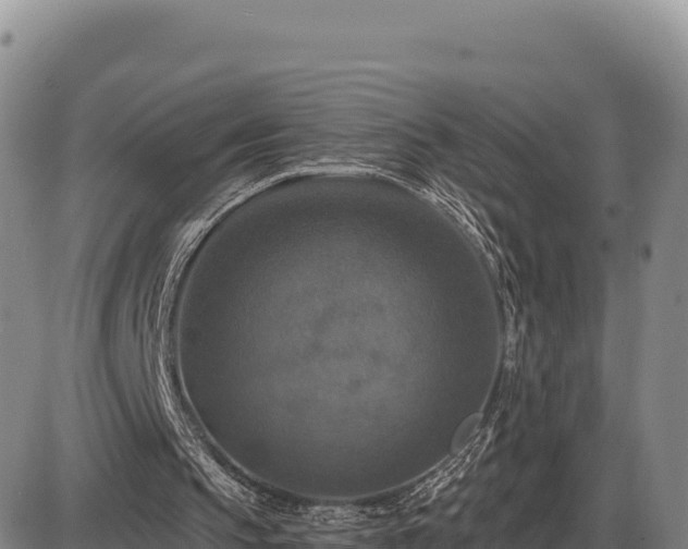 X0000087410145200704271721
