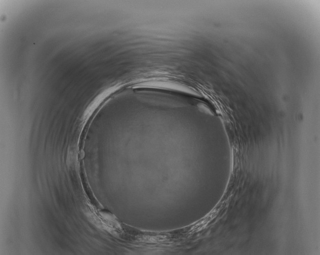 X0000087410147200704271721