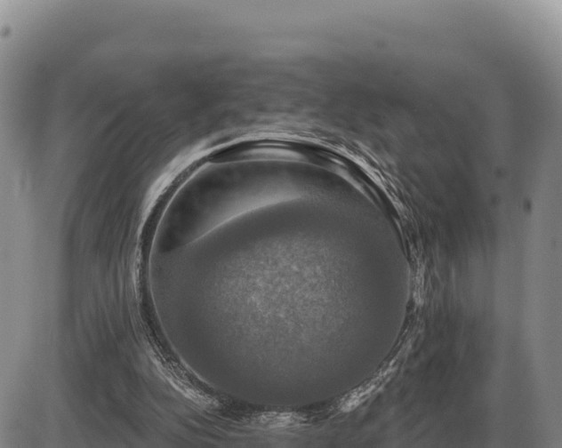 X0000087410152200704271721