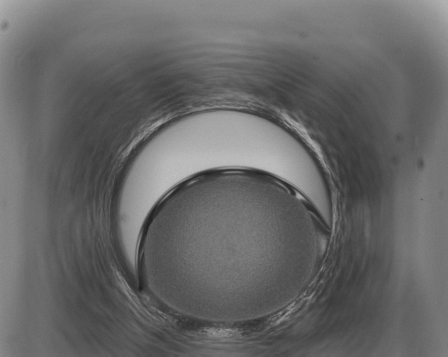 X0000087410154200704271721