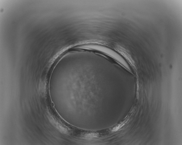 X0000087410156200704271721