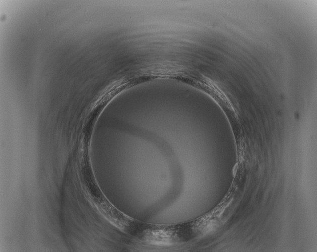 X0000087410163200704271721