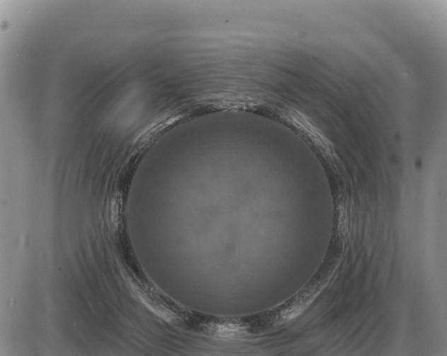 X0000087410165200704271721