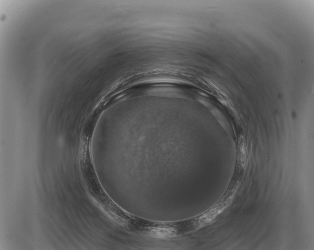 X0000087410168200704271721