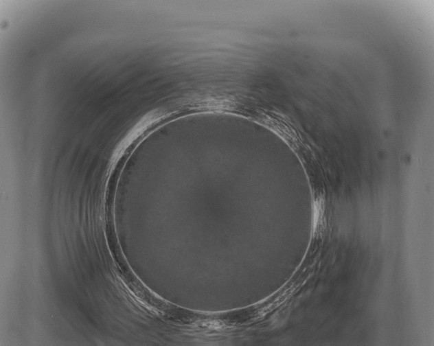 X0000087410195200704271720