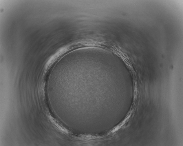 X0000087410197200704271720