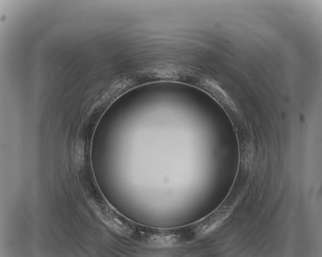 X0000087410213200704271720