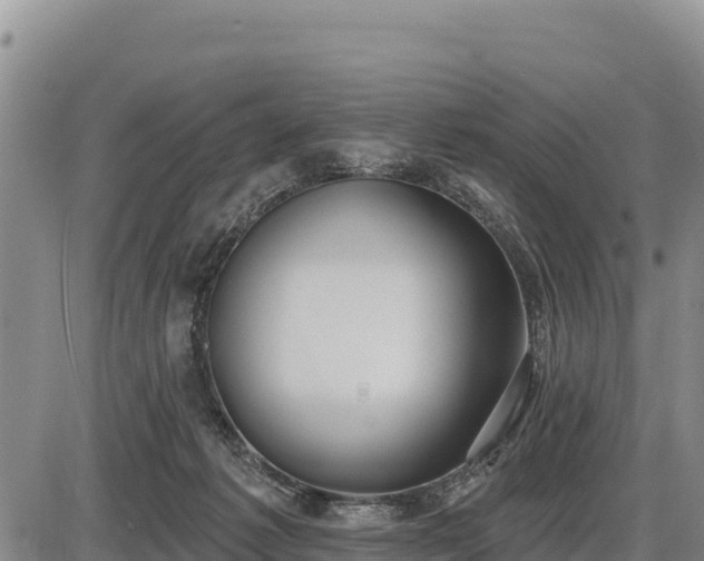 X0000087410221200704271720