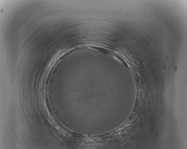 X0000087410241200704271719