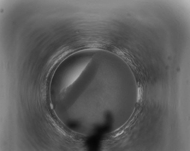X0000087410243200704271719