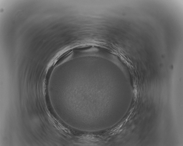 X0000087410244200704271719