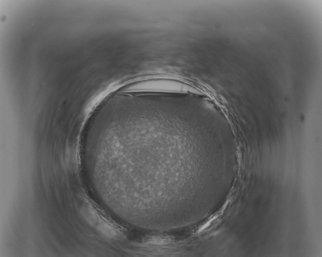 X0000087410248200704271719