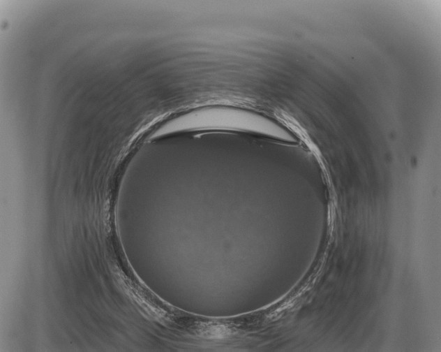 X0000087410249200704271719