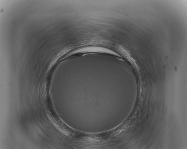 X0000087410250200704271719