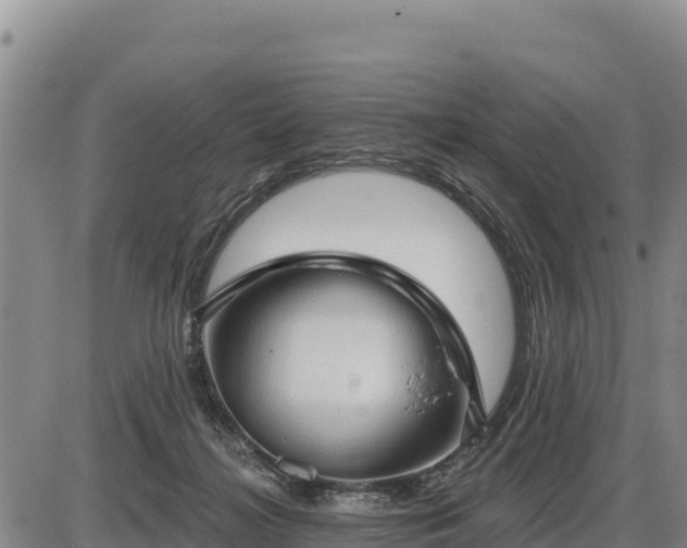 X0000087410268200704271719