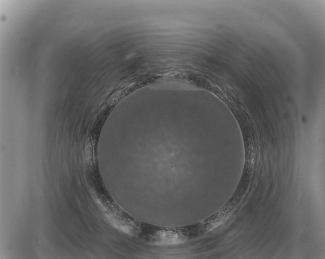 X0000087410272200704271719