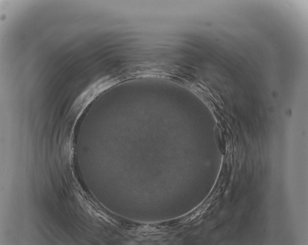 X0000087410290200704271719