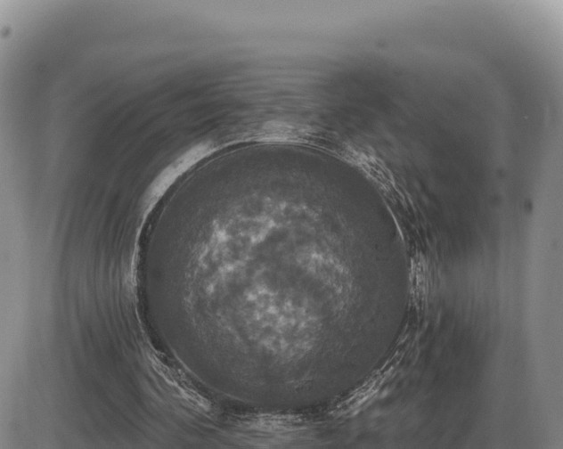 X0000087410292200704271719