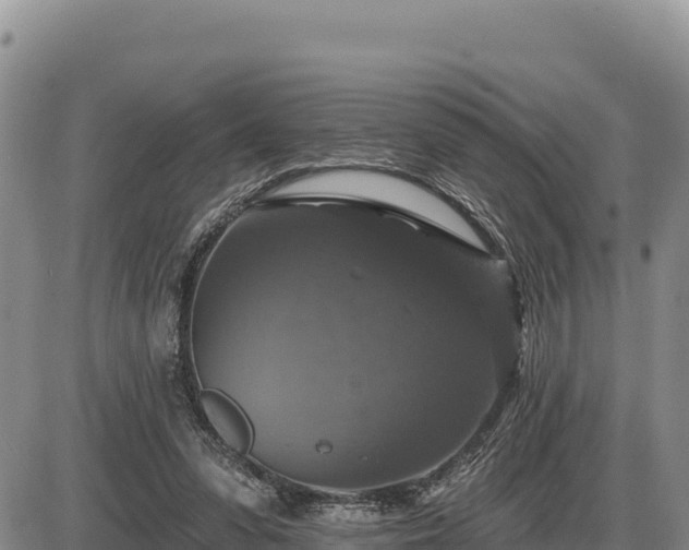 X0000087410303200704271719