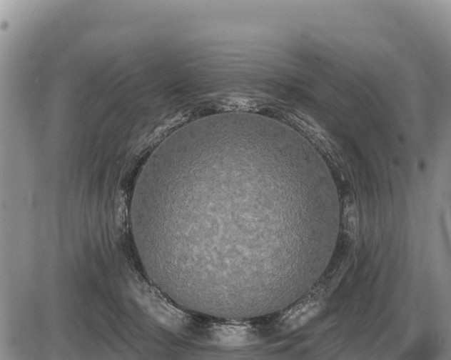 X0000087410318200704271718