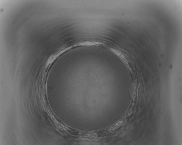X0000087410337200704271717