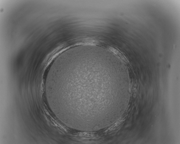 X0000087410338200704271717
