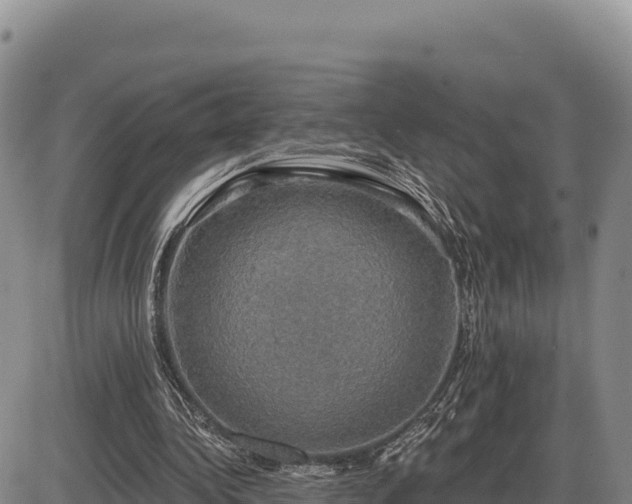 X0000087410340200704271717