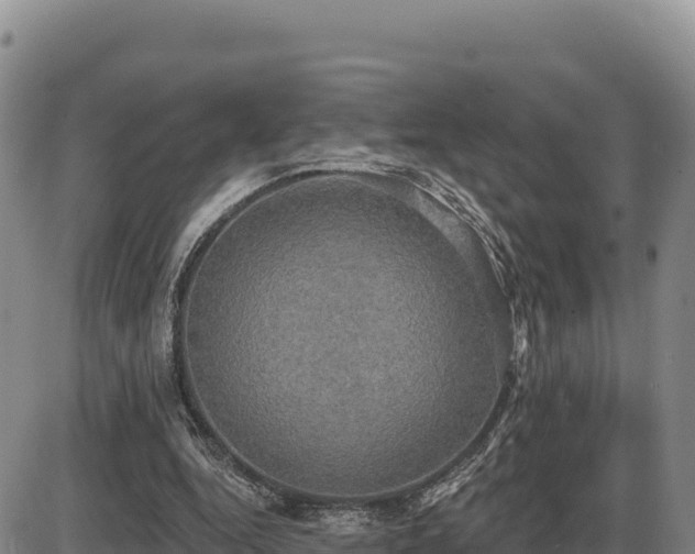 X0000087410344200704271718
