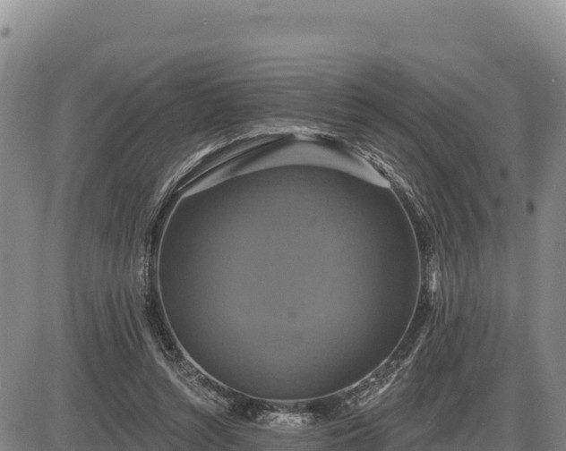 X0000087410352200704271718