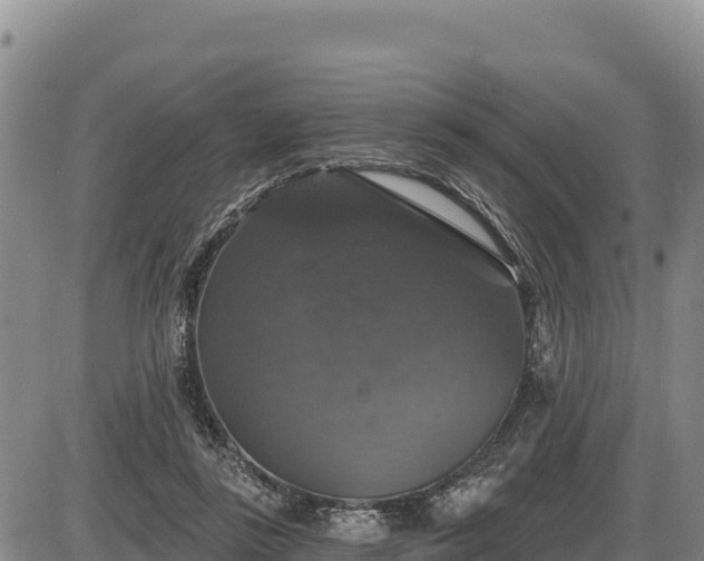 X0000087410355200704271718