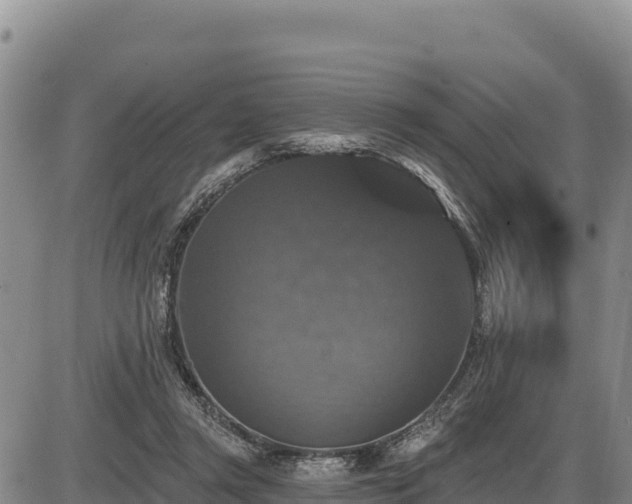 X0000087410357200704271718