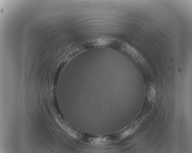 X0000087410366200704271718