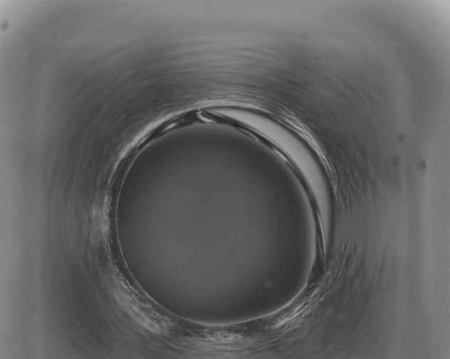 X0000087410387200704271717