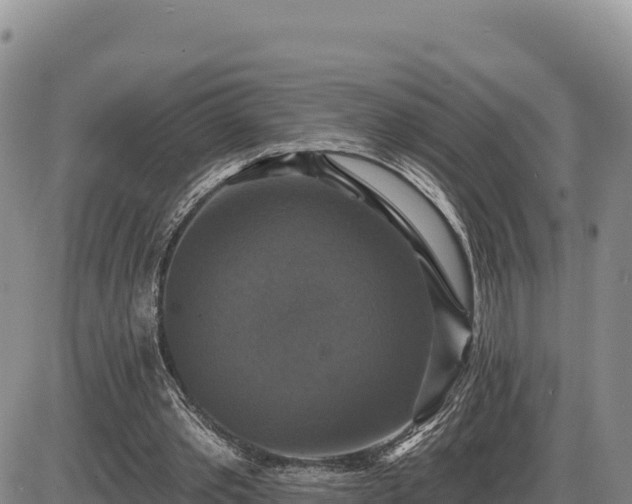 X0000087410389200704271717