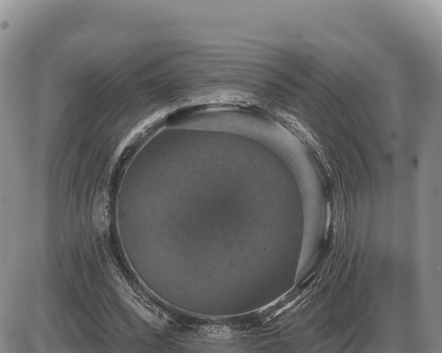 X0000087410392200704271717