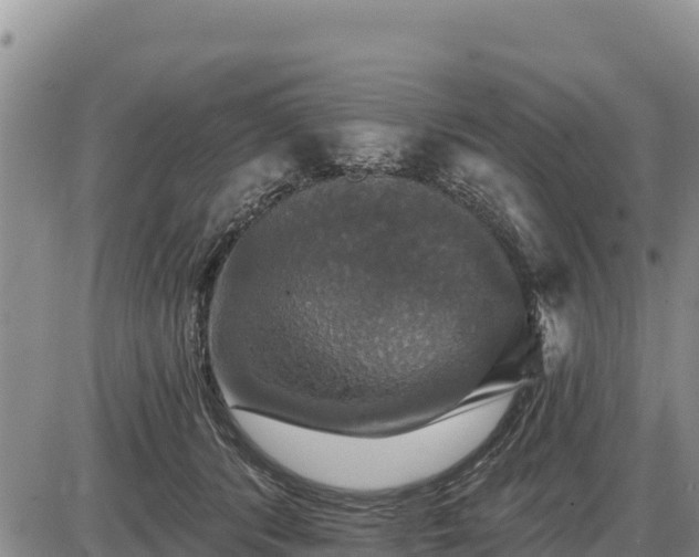 X0000087410416200704271717