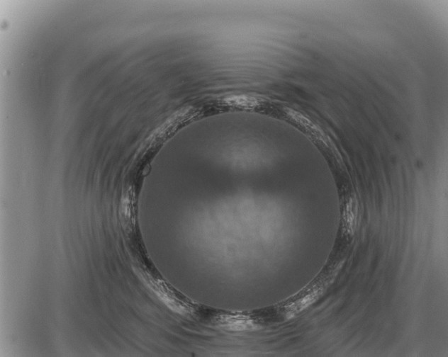 X0000087410424200704271717