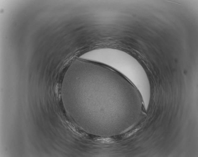 X0000087410428200704271717