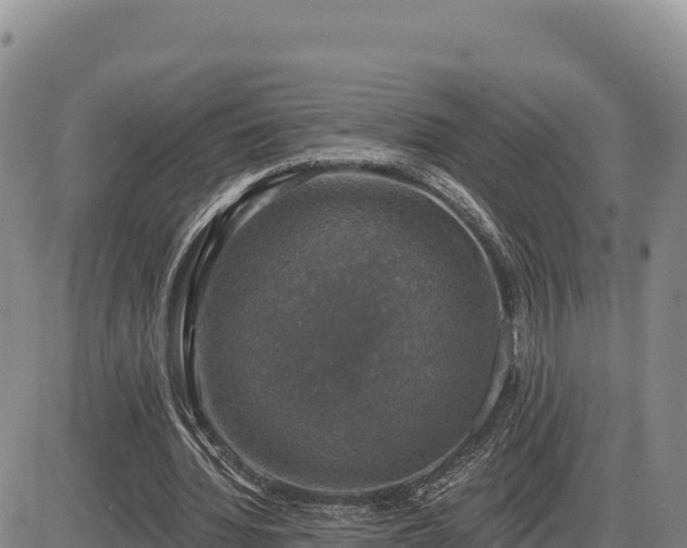 X0000087410436200704271716